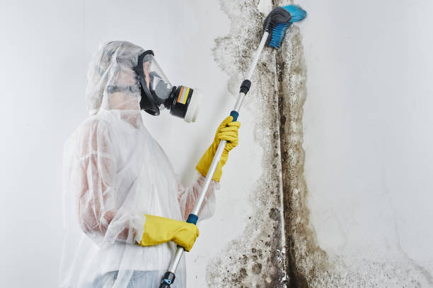 Best Residential Mold Remediation in Conyers, GA