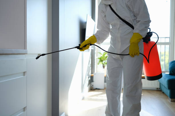 Best Attic Mold Remediation in Conyers, GA