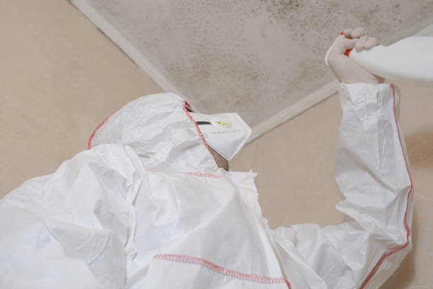 Best Insurance-Related Mold Remediation in Conyers, GA