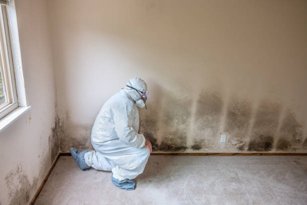 Best Mold Testing and Inspection Services in Conyers, GA