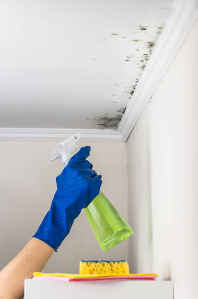 Best Kitchen Mold Remediation in Conyers, GA